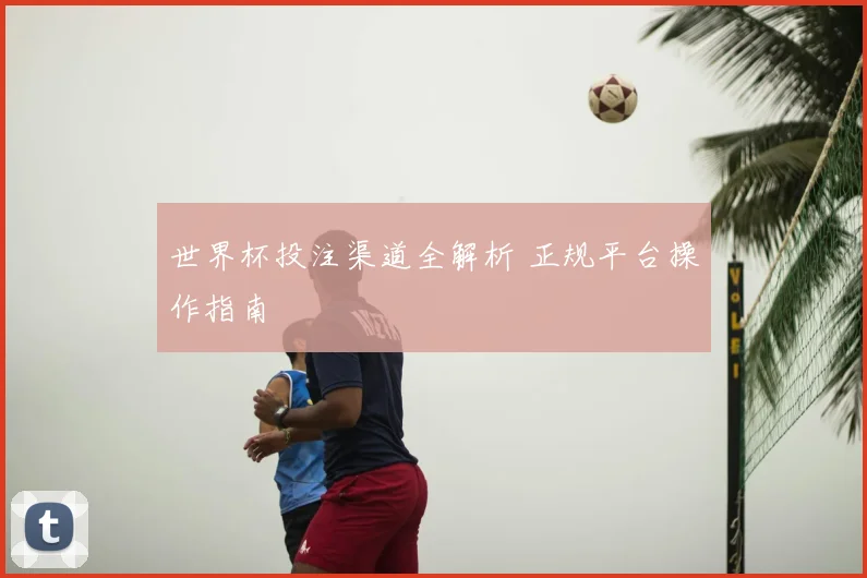 世界杯投注渠道全解析 正规平台操作指南