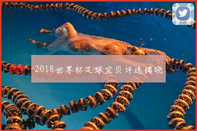 2018世界杯足球宝贝评选揭晓