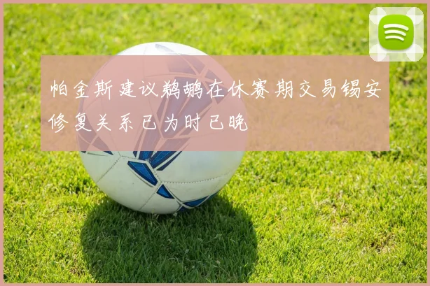 帕金斯建议鹈鹕在休赛期交易锡安修复关系已为时已晚