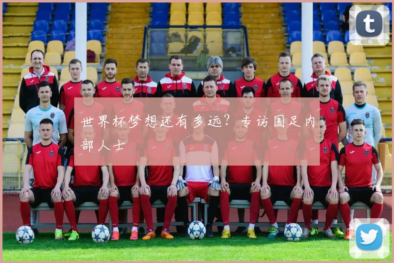 世界杯梦想还有多远？专访国足内部人士
