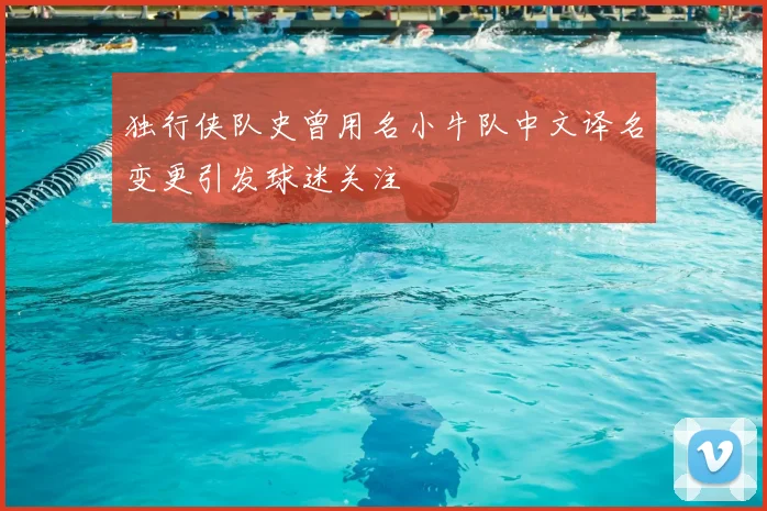独行侠队史曾用名小牛队中文译名变更引发球迷关注