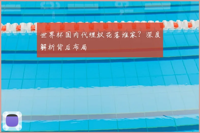 世界杯国内代理权花落谁家？深度解析背后布局
