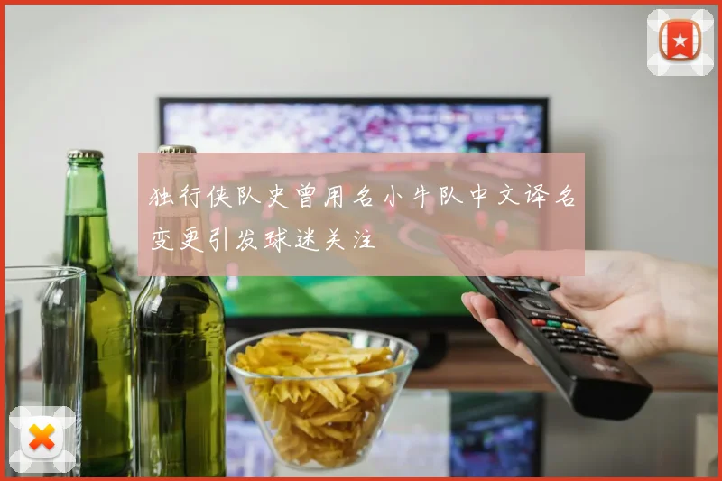 独行侠队史曾用名小牛队中文译名变更引发球迷关注