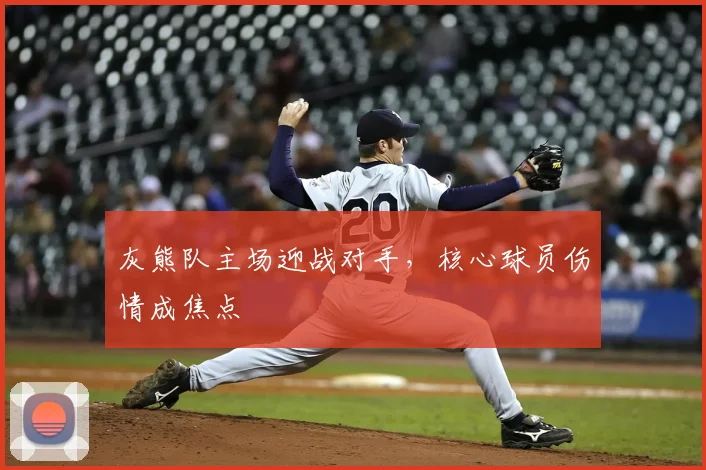 灰熊队主场迎战对手，核心球员伤情成焦点
