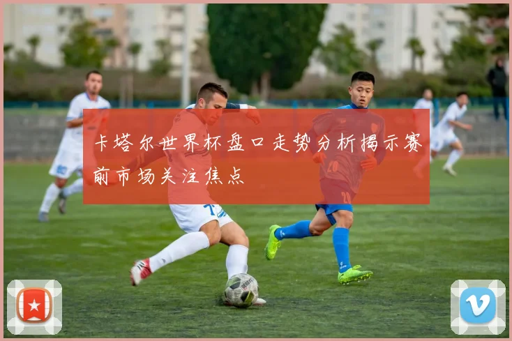 卡塔尔世界杯盘口走势分析揭示赛前市场关注焦点