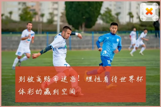 别被高赔率迷惑！理性看待世界杯体彩的赢利空间