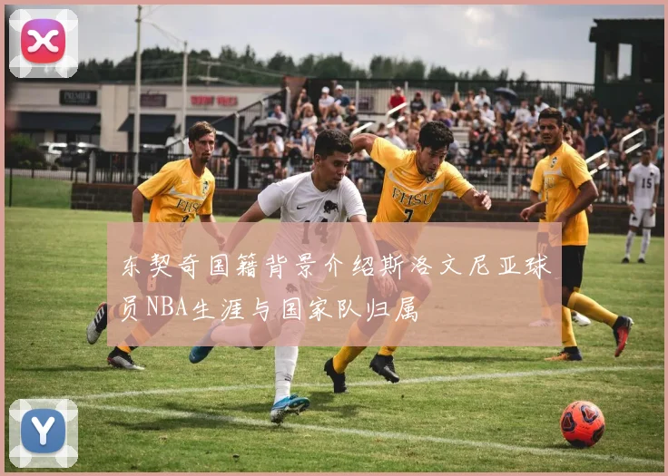 东契奇国籍背景介绍斯洛文尼亚球员NBA生涯与国家队归属