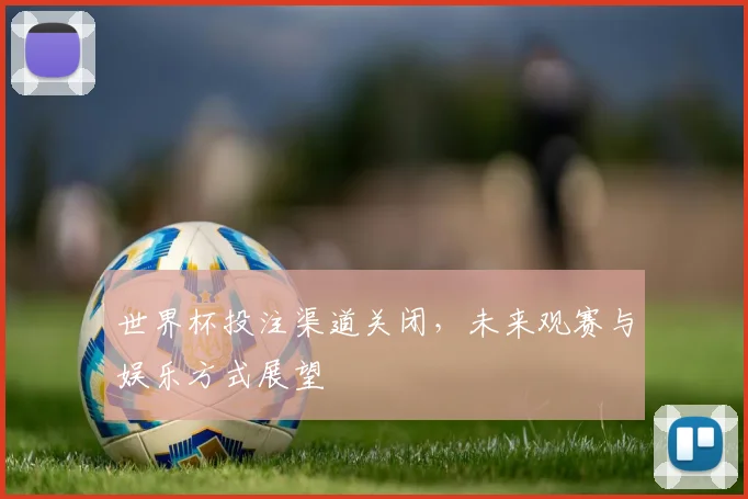 世界杯投注渠道关闭，未来观赛与娱乐方式展望