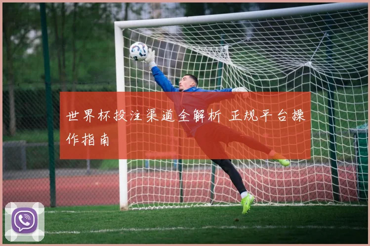 世界杯投注渠道全解析 正规平台操作指南