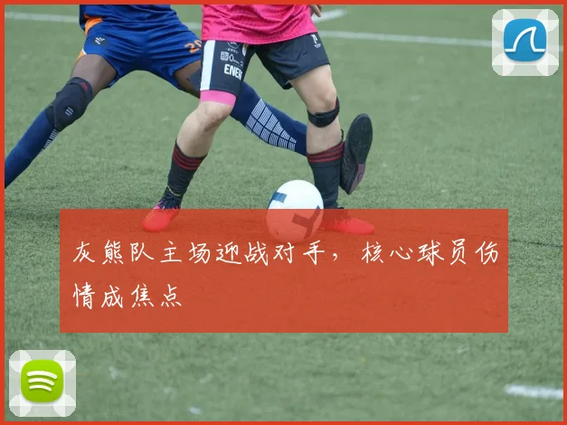 灰熊队主场迎战对手，核心球员伤情成焦点