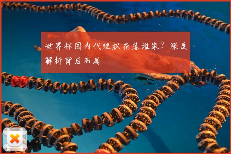 世界杯国内代理权花落谁家?深度解析背后布局