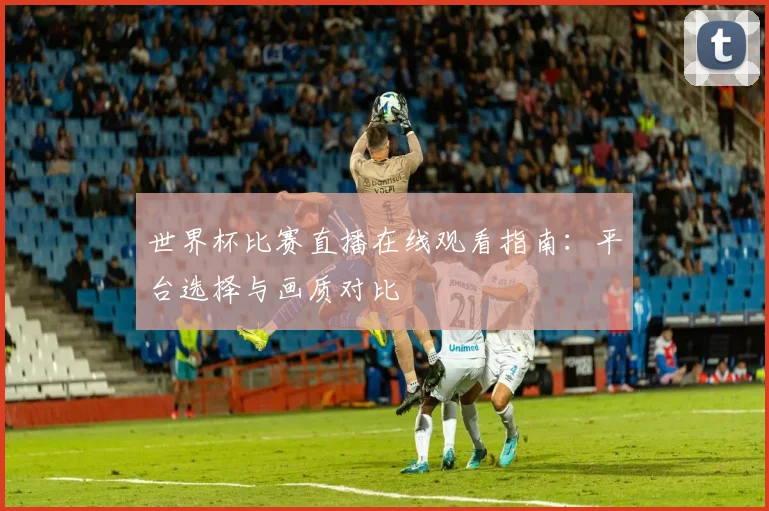 世界杯比赛直播在线观看指南：平台选择与画质对比